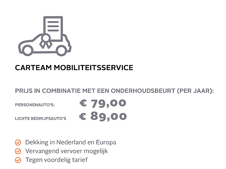 Carteam Garage Gerrits